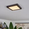 Plafonnier Canditas LED Noir, 1 lumière