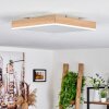 Plafonnier Salmi LED Brun, Couleur bois, Blanc, 1 lumière