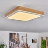 Plafonnier Salmi LED Brun, Couleur bois, Blanc, 1 lumière