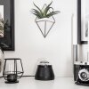 Lampe de table Atabueira LED Noir, 1 lumière, Changeur de couleurs