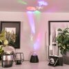 Lampe de table Atabueira LED Noir, 1 lumière, Changeur de couleurs