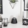 Lampe de table Atabueira LED Noir, 1 lumière, Changeur de couleurs