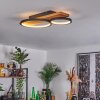 Plafonnier Rodekro LED Écru, Noir, 1 lumière