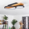 Plafonnier Rodekro LED Écru, Noir, 1 lumière