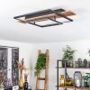 Plafonnier Pompu LED Écru, Noir, 1 lumière