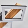 Plafonnier Tavon LED Écru, Noir, 1 lumière