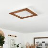 Plafonnier Varoyang LED Blanc, 1 lumière
