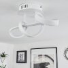 Plafonnier Dauntey LED Blanc, 1 lumière