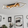 Plafonnier Lomnion LED Écru, Noir, 1 lumière