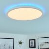 Plafonnier Hortinhas LED Blanc, 1 lumière, Télécommandes, Changeur de couleurs