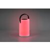 Lampe solaires Reality Garcia LED Blanc, 1 lumière, Changeur de couleurs