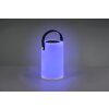 Lampe solaires Reality Garcia LED Blanc, 1 lumière, Changeur de couleurs