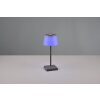 Lampe à poser Reality Sanchez LED Anthracite, 1 lumière, Changeur de couleurs