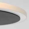 Lampadaire à vasque Steinhauer Turound LED Noir, 1 lumière