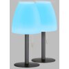 Lampe à poser FHL easy Fiumara LED Noir, 1 lumière, Télécommandes, Changeur de couleurs