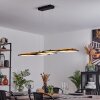 Suspension Pompu LED Écru, Noir, 1 lumière