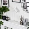 Lampe de table Trutielle Blanc, 1 lumière Lampe de table Trutielle Blanc, 1 lumière