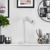 Lampe de table Trutielle Blanc, 1 lumière Lampe de table Trutielle Blanc, 1 lumière