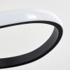 Suspension Pitasch LED Noir, 1 lumière
