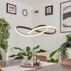 Suspension Pitasch LED Noir, 1 lumière