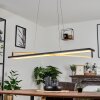 Suspension Rung LED Noir, 1 lumière
