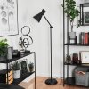 Lampadaire Vijes Noir, 1 lumière