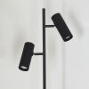 Lampadaire Trutielle Noir, 2 lumières Lampadaire Trutielle Noir, 2 lumières
