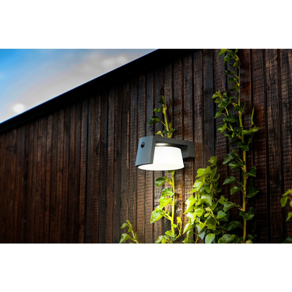 Lampe solaires Lutec Moon LED Anthracite, 1 lumière, Détecteur de mouvement main product photo
