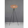 Lampadaire Trio Hedda Noir, 1 lumière