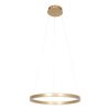 Suspension Steinhauer Ringlux LED Or, 2 lumières