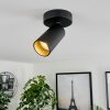 Plafonnier Trutielle Noir, 1 lumière