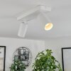 Plafonnier Trutielle Blanc, 2 lumières