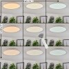Plafonnier Hortinhas LED Blanc, 1 lumière, Télécommandes, Changeur de couleurs