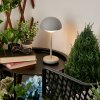 Lampe à poser Bellange LED Gris, 1 lumière