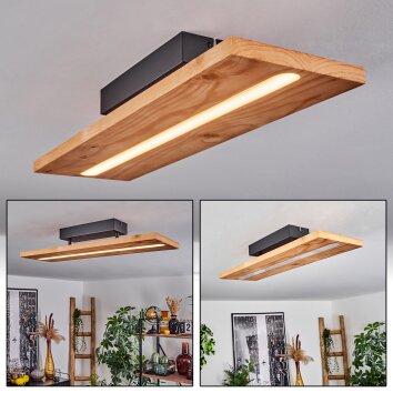 Plafonnier Adak LED Noir, 1 lumière