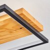 Plafonnier Pompu LED Noir, 1 lumière