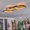 Plafonnier Pompu LED Noir, 1 lumière