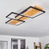 Plafonnier Pompu LED Noir, 1 lumière