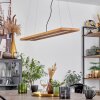 Suspension Adak LED Noir, 1 lumière