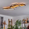 Plafonnier Pompu LED Noir, 1 lumière