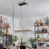 Suspension Adak LED Noir, 1 lumière
