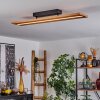 Plafonnier Adak LED Noir, 1 lumière