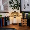 Lampe de table Barayn Écru, Noir, 1 lumière