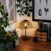 Lampe de table Barayn Écru, Noir, 1 lumière