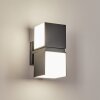 Applique murale d'extérieur Swanek LED Anthracite, 2 lumières