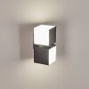 Applique murale d'extérieur Swanek LED Anthracite, 2 lumières
