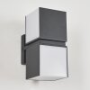 Applique murale d'extérieur Swanek LED Anthracite, 2 lumières
