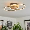 Plafonnier Audouin LED Couleur bois, Noir, 1 lumière, Télécommandes
