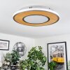 Plafonnier Chrop LED Nickel mat, 1 lumière