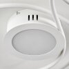 Plafonnier Olok LED Blanc, 1 lumière, Télécommandes